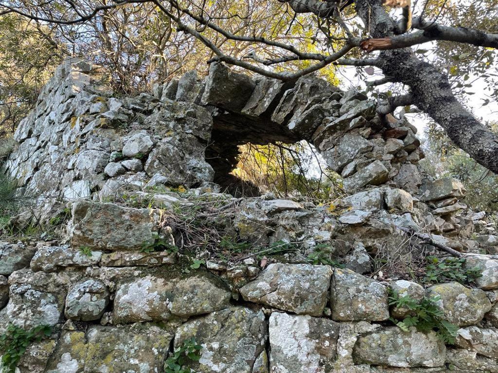 Antica Casa Prile Apartment Castiglione della Pescaia Bagian luar foto